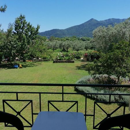 Nostos Studios Golden Beach Khrysi Ammoudia Rom bilde